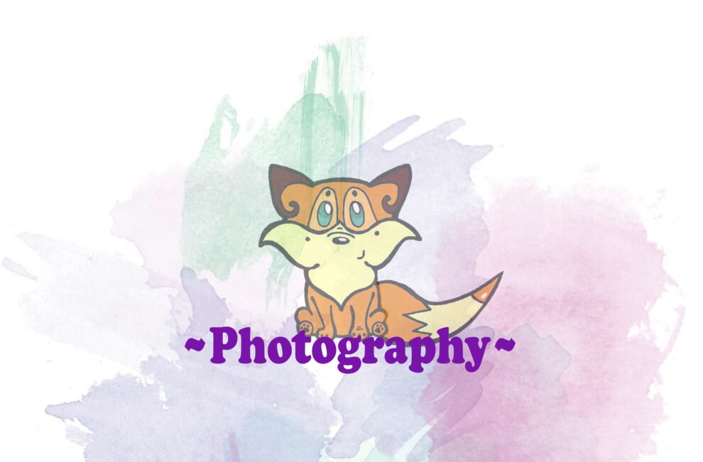 ~Photo gallery~