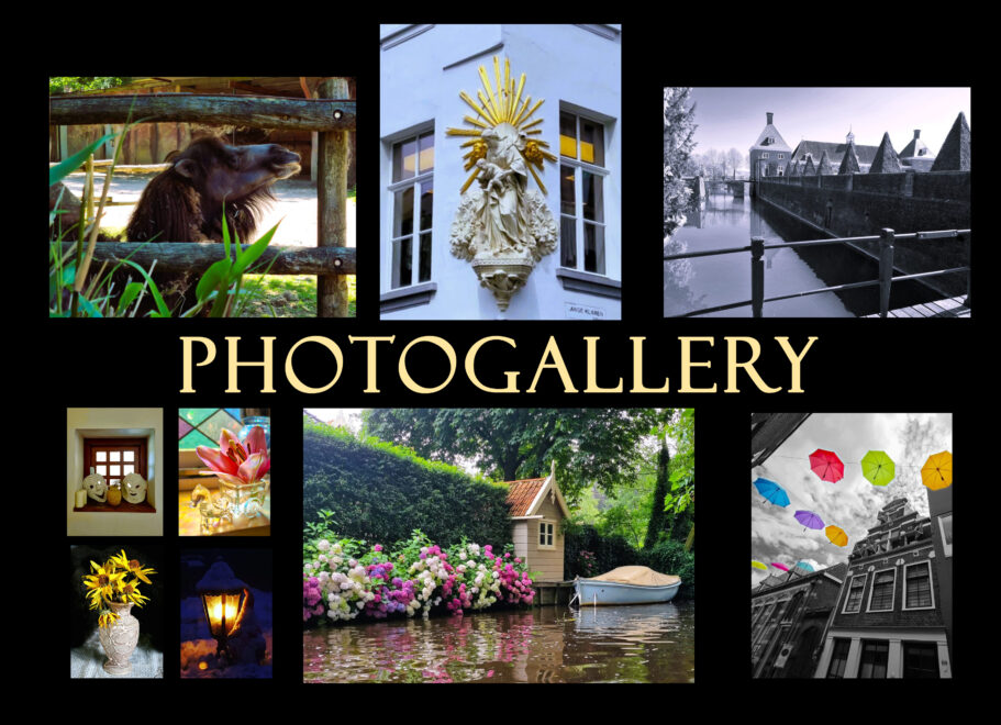~Photogallery~